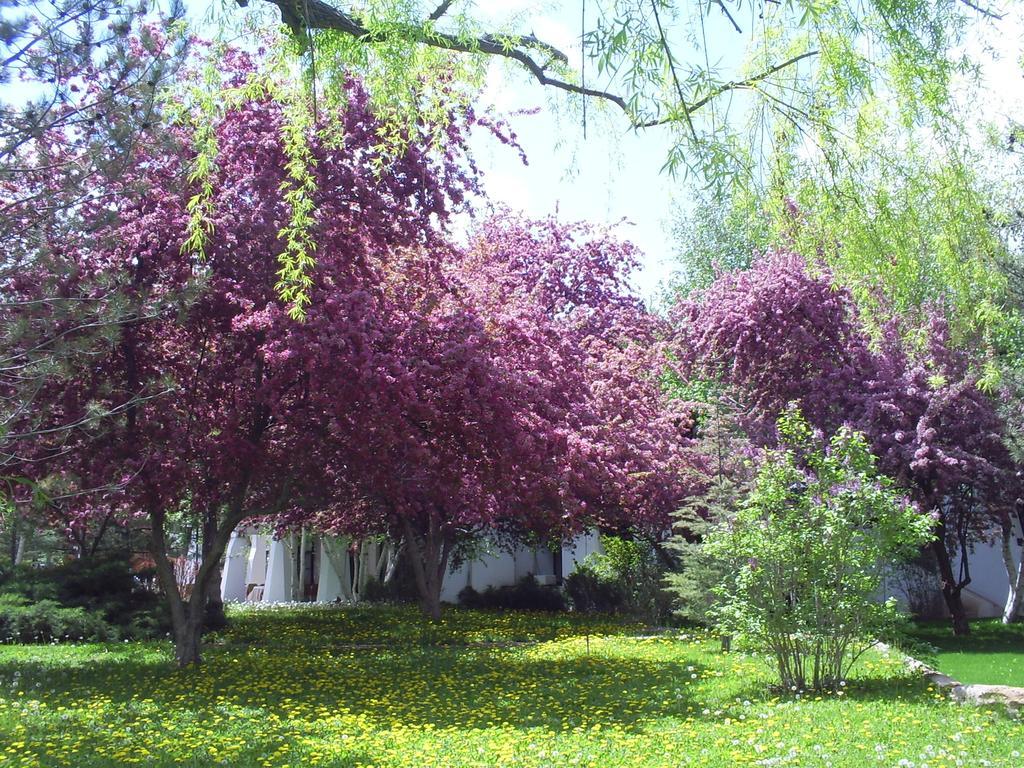 Agacli Hotel Aksaray Bagian luar foto