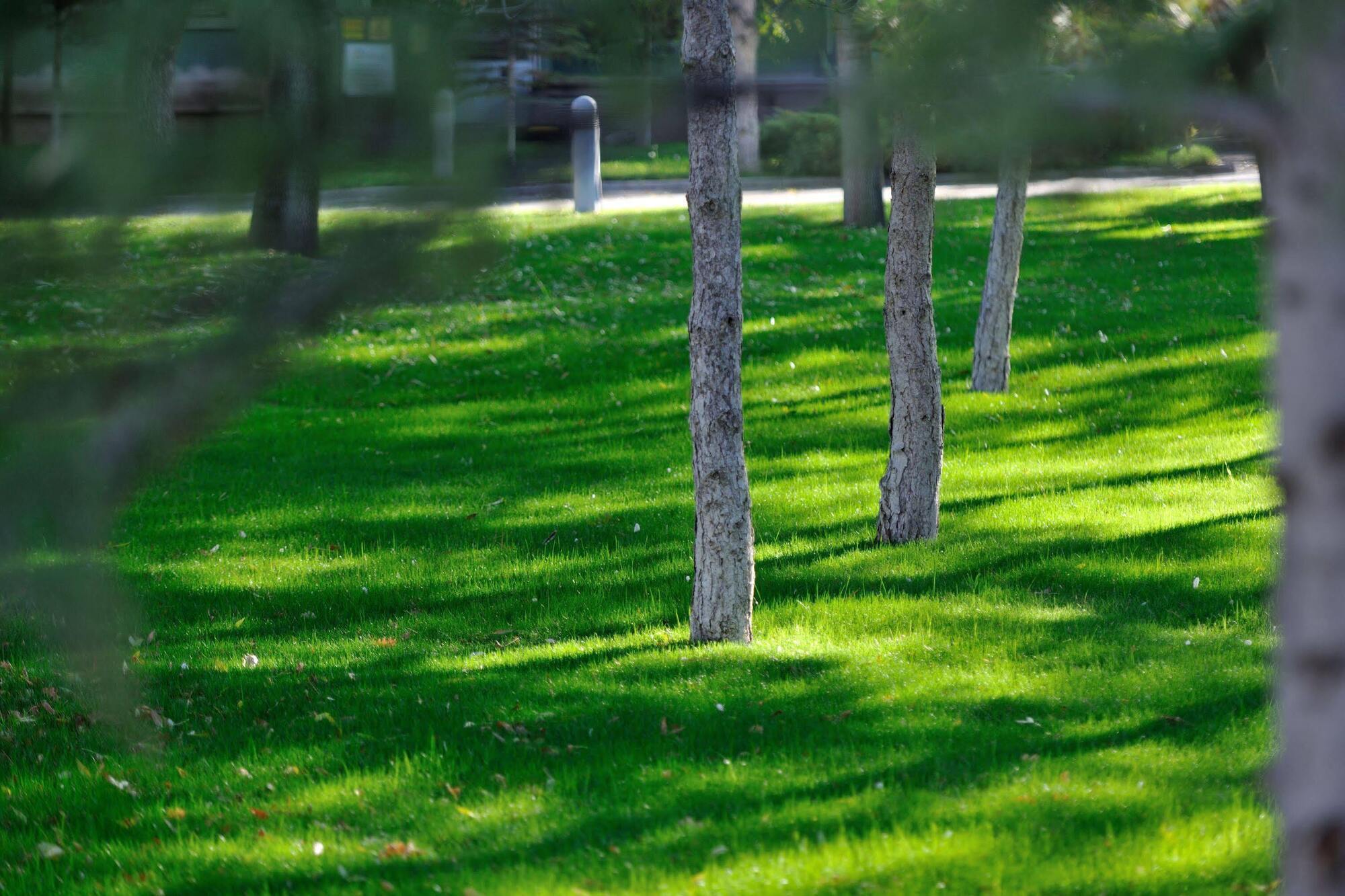 Agacli Hotel Aksaray Bagian luar foto